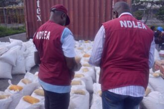 NDLEA arrests man with illicit drugs at Lagos airport