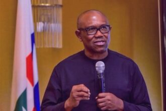 'Donate in cash and kind' - Obi launches website for financial contribution