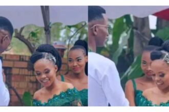 If the marriage doesn’t work, I know who to blame – Man reacts as bridesmaid admires groom on wedding day