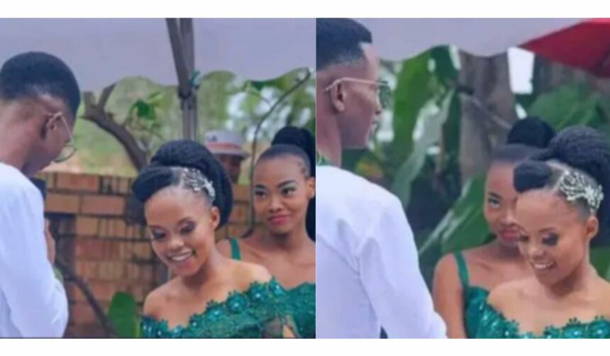 If the marriage doesn’t work, I know who to blame – Man reacts as bridesmaid admires groom on wedding day