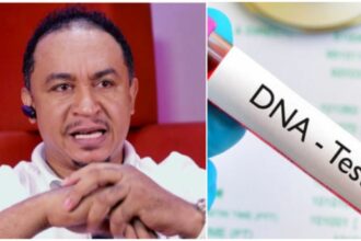 “Do NDA test on your children immediately after birth” - Daddy Freeze advises Nigerian men