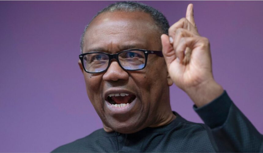 Hold me responsible if I don’t fulfil my campaign promises - Peter Obi boasts
