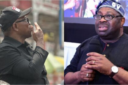 “The online prediction will not help Obi win the elections” - PDP spokesperson Dele Momodu claims