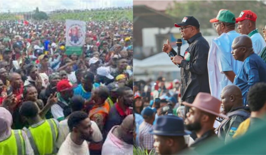 Thousands of Obidients stage global march for Obi ahead with less than a week to general elections