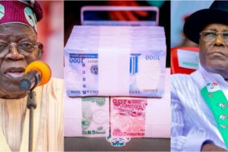 Tinubu conspiring with banks to hoard new naira notes - Atiku 
