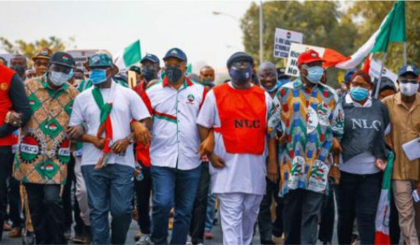 FG have 7 days to address naira and fuel scarcity - NLC threatens strike