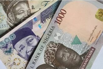 Jubilation as Supreme Court nullifies ban of old N200, N500, N1000 bank notes as legal tender