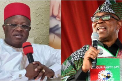 “Obi’s vote was a protest vote, my family conspired against me to vote for LP” - Gov Umahi