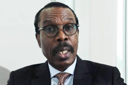 Appoint Bismarck Rewane as next CBN governor - Seun Osewa tells Tinubu