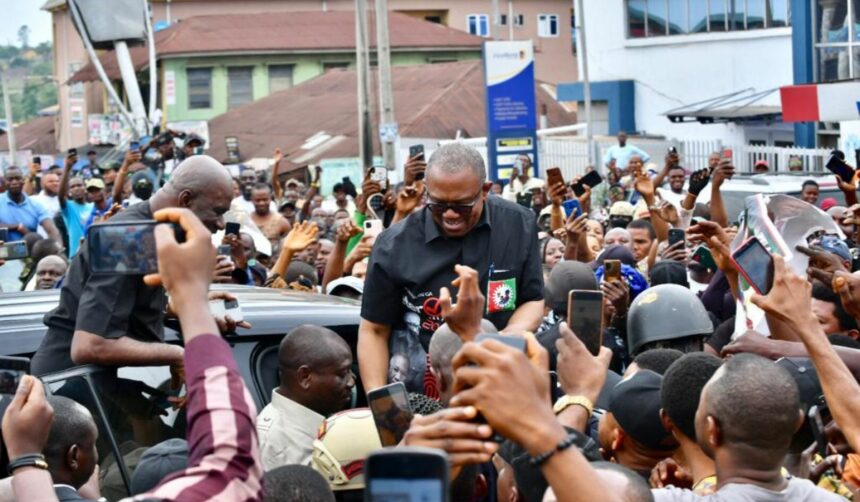 Peter Obi is one of the best things that ever happened to Nigeria, says Labour Party supporter