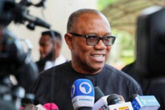 Constitutional amendments not needed to secure Nigeria - Peter Obi