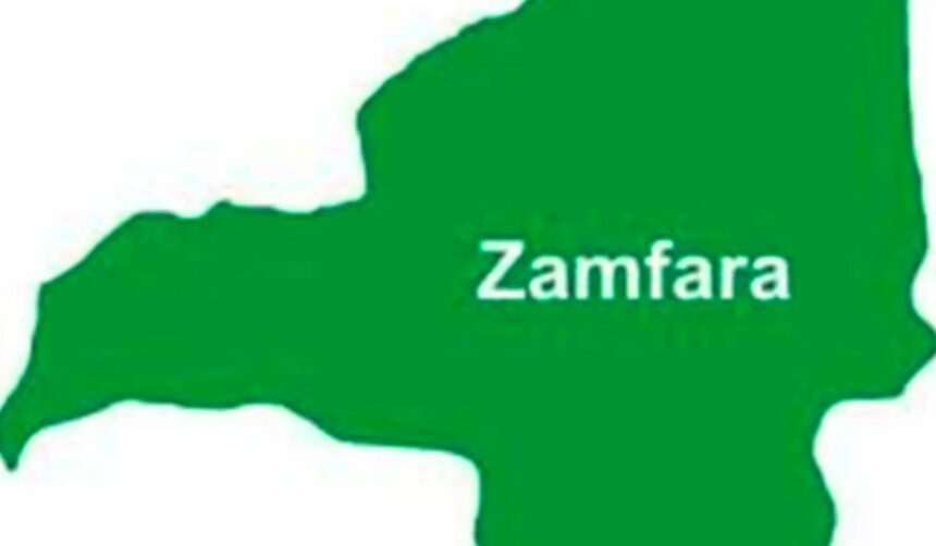 1188 cholera cases and 40 deaths recorded in Zamfara State