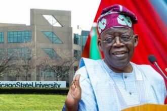 Chicago State University complicit in Tinubu's certificate forgery, says Analyst