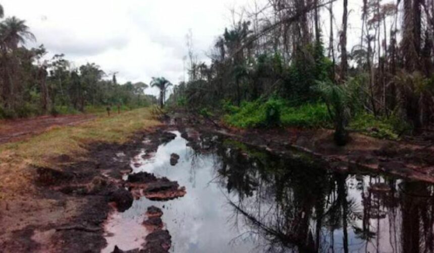 Government loses ₦847bn to gas flaring – NOSDRA