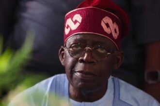 Lawyer Gives Reasons Why tinubu's Academic Certificate Indicates "Female"