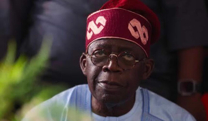 Lawyer Gives Reasons Why tinubu's Academic Certificate Indicates "Female"