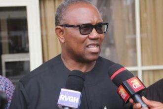 World Food Day: Peter Obi calls for consistent government investment in agriculture