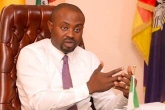 Minister of Interior calls on improving security at Nigerian borders