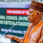 VP Shettima urges National Council on Privatisation to prioritize impactful economic reforms in Nigeria