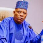 VP Shettima accuses forces of undermining Nigeria's economy, vows to address food crisis