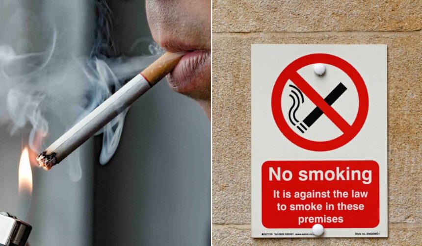 Youth-led initiative urges Lagos govt for smoke-free public spaces