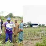 NDDC pledges support to small-holder farmers for enhanced food security and youth employment
