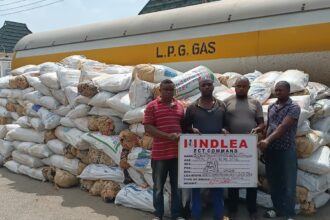 NDLEA smashes international drug syndicate, arrests suspects across Nigeria