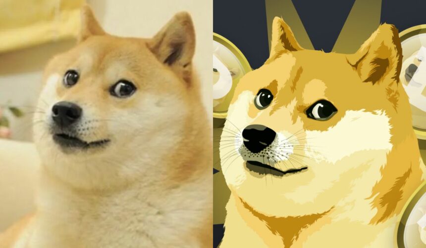 Crypto community bids farewell to Kabosu, beloved Doge meme icon