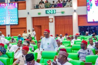 House of Reps welcomes electricity tariff reduction, seeks further action