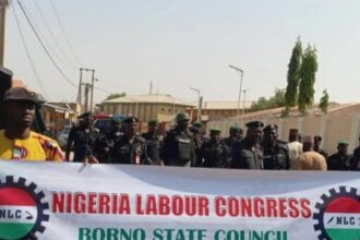 NLC advocates for better pension for Borno state retirees