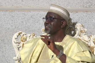 Shekarau voices concerns over proposed state police implementation