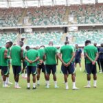 2026 WCQ: Lookman, Okoye, Ajayi, and five others, still expected to join Super Eagles camp