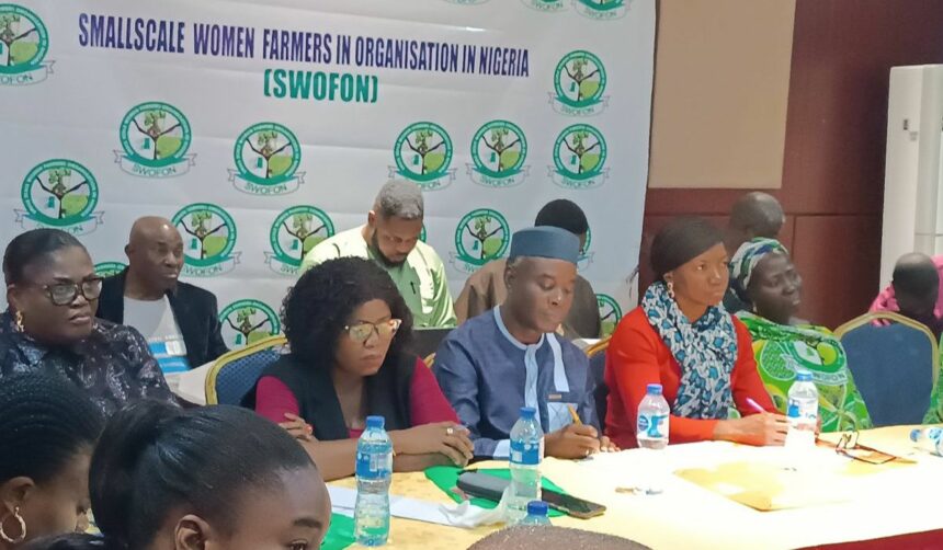 Small-scale women farmers and Gombe budget committee urge state govt to adopt climate-resilient agriculture