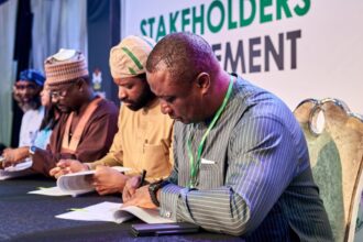 REA Partners with Nigerian Agencies and Private Sector for Nationwide Solar Energy Expansion