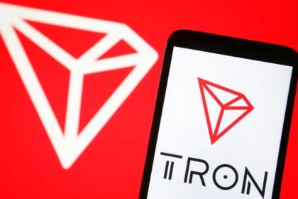 TRON hosts community event in Nigeria, promoting blockchain literacy, digital ownership