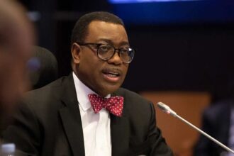Stop Exporting Raw Materials - AfDB Chief, Adesina Tells African Nations