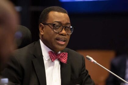 Stop Exporting Raw Materials - AfDB Chief, Adesina Tells African Nations