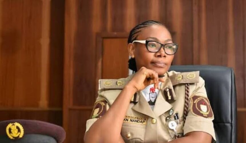 Nigeria Immigration Service Launches E-Visa Platform with 13 Eligible Categories