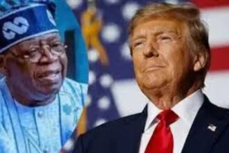 Nigeria Must Revise Trade Policies in Response to US Protectionism, NESG Advises