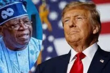 Nigeria Must Revise Trade Policies in Response to US Protectionism, NESG Advises