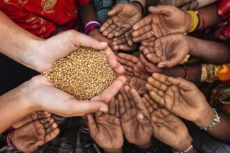 Global Hunger Dips Slightly to 8.2% in 2024, Affecting 673 million People