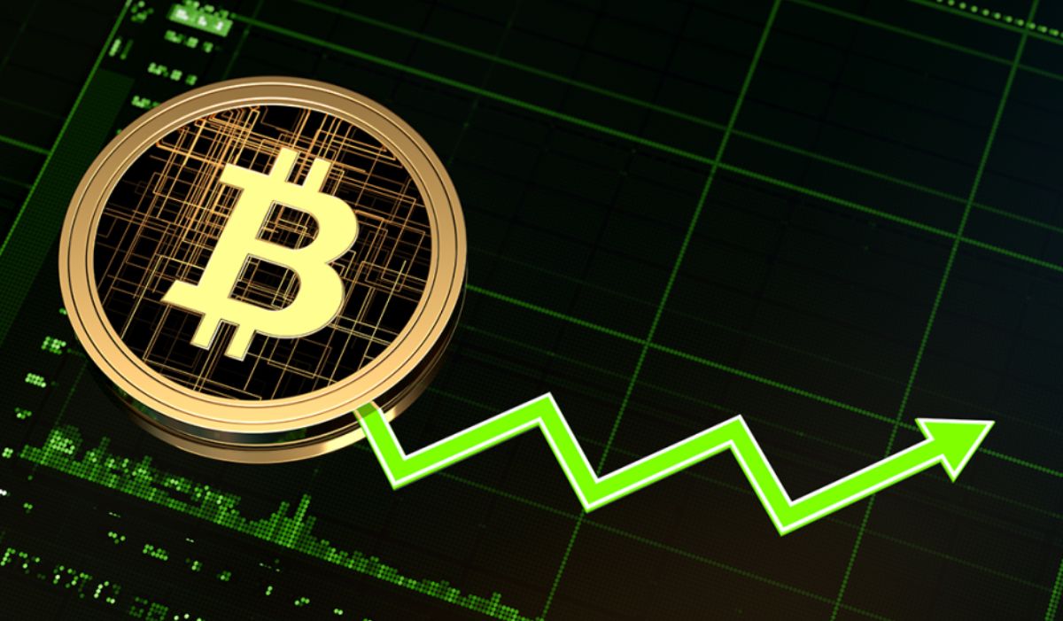 Investment Firm Returns 640% on Bitcoin-Heavy Portfolio