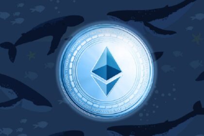 Investors Bags $10M Profit in 3 Days After Massive Buy