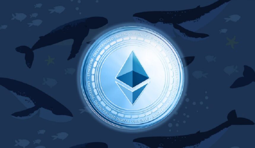 Investors Bags $10M Profit in 3 Days After Massive Buy