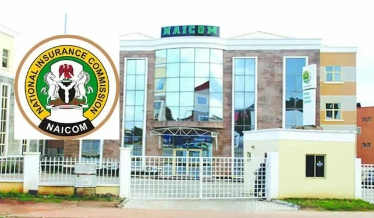 New Insurance Law Mandates Online Firms to Obtain NAICOM License Under New Act