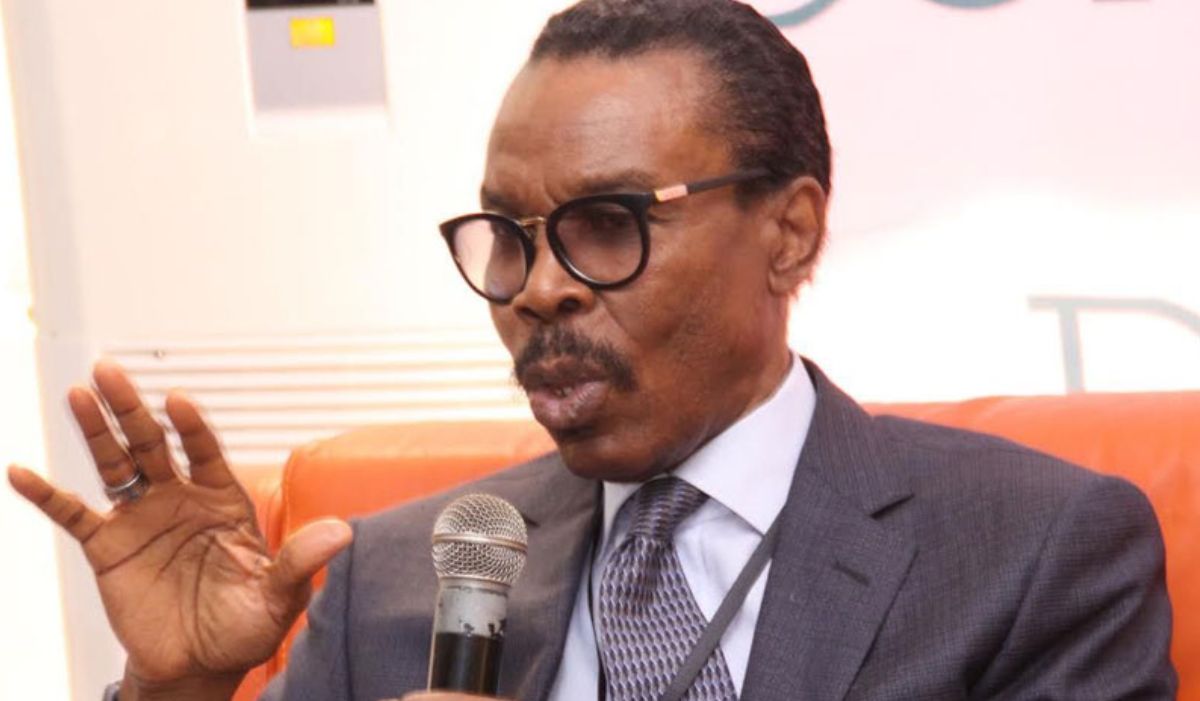 Rewane Says Just Five Airlines Handle 75% of Nigeria’s Air Traffic