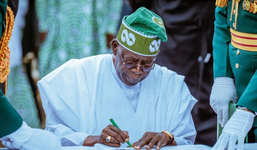 Tinubu Vows to End Nigeria’s Low Share in $6.5bn Global Shea Market