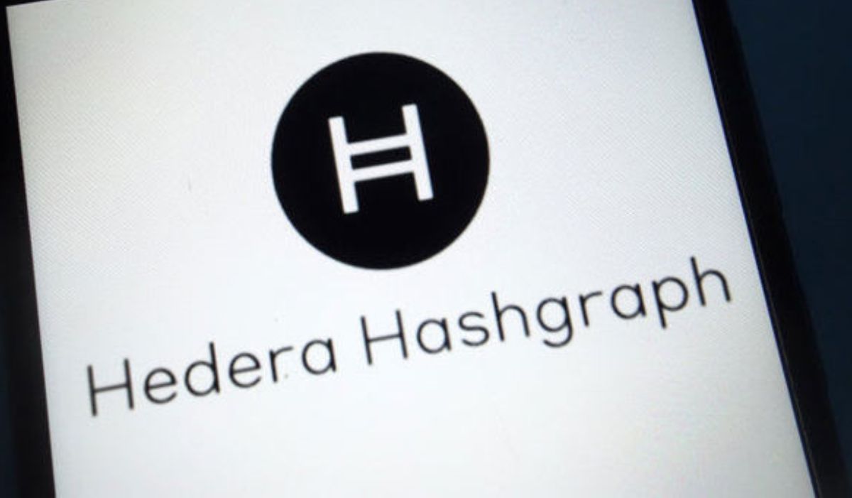 Hashgraph Group Unveils TransAct to Bring Compliance-Friendly Web3 to Businesses