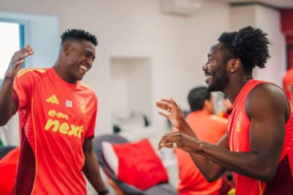 Nottingham Forest Hit by Double Nigerian Blow Ahead of Brighton Clash