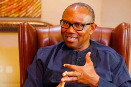 Electoral Act: Teargas at Protesters an Assault on Democracy - Peter Obi
